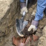 tree roots in sewer line Atlantic City, NJ