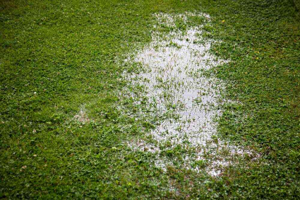 wet patches in the lawn/yard